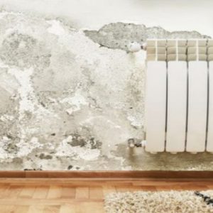 Humedades y Malos Olores - Limpiezas Sofmar